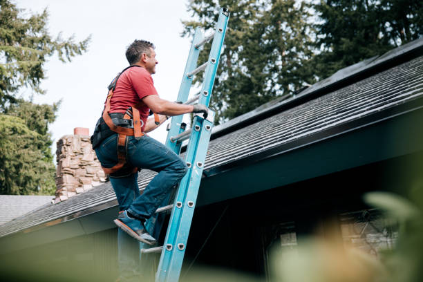 Best Skylights  in Potosi, TX